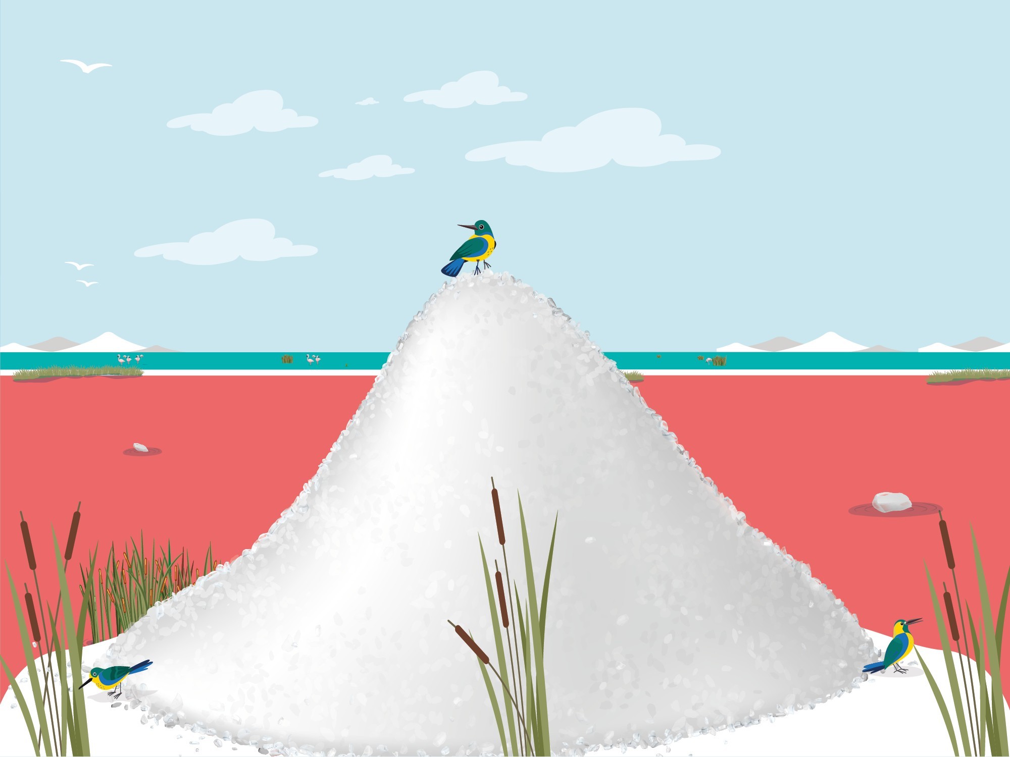 Festa della raccolta del Sale - Saline Conti Vecchi