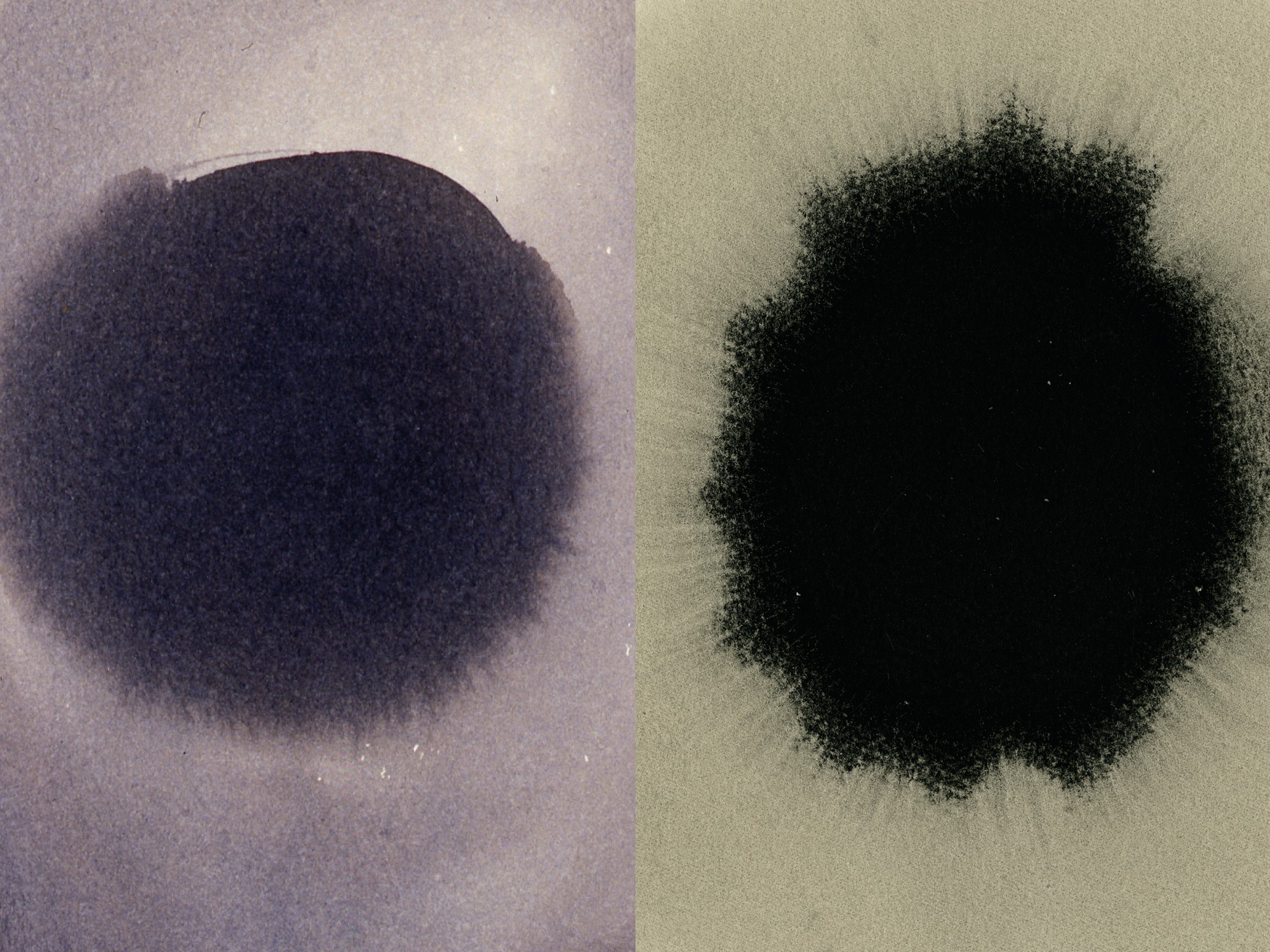 Lucio Fontana - Antony Gormley