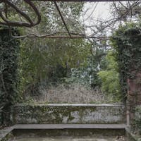 La vista dal terrazzo di Villa Rezzola La vista dal terrazzo di Villa Rezzola