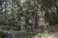 I percorsi verso la zona boscata