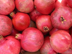 Frutticultura Frutticultura