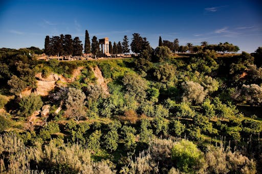 Wedding at Kolymbethra Garden | FAI - Fondo per l'Ambiente italiano