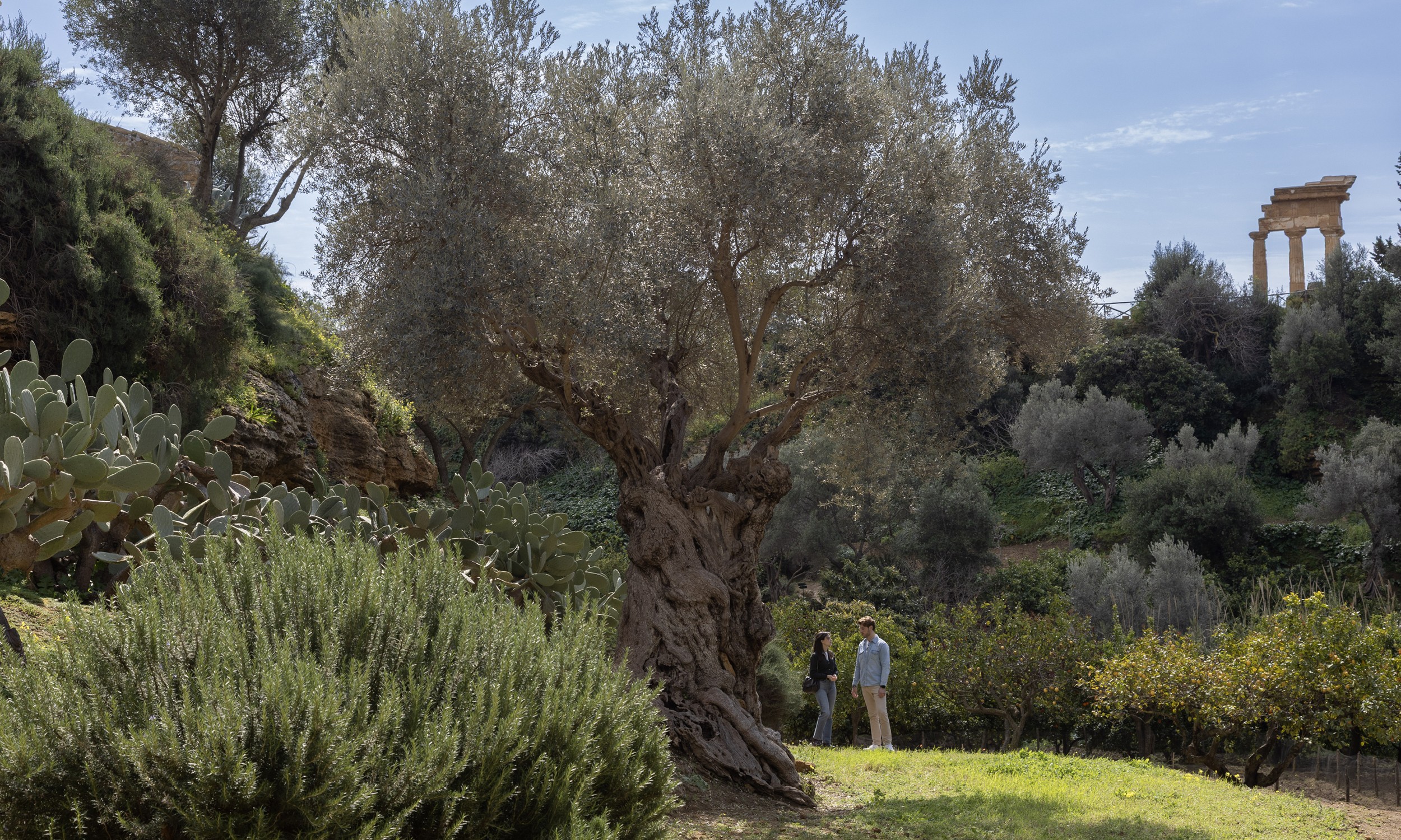 Giardino della Kolimbethra Foto: B.Verduci, 2026 © FA