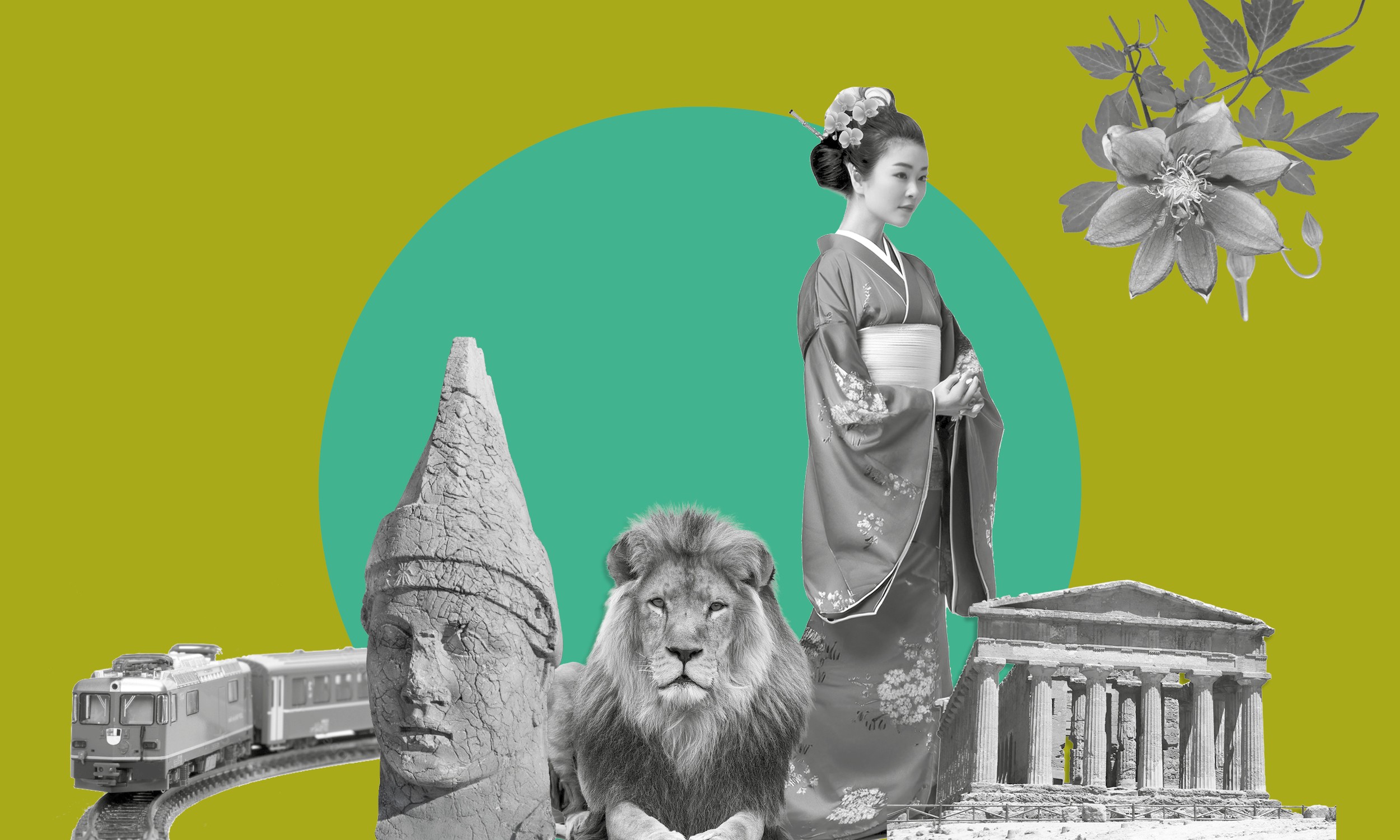 Viaggiare con il FAI