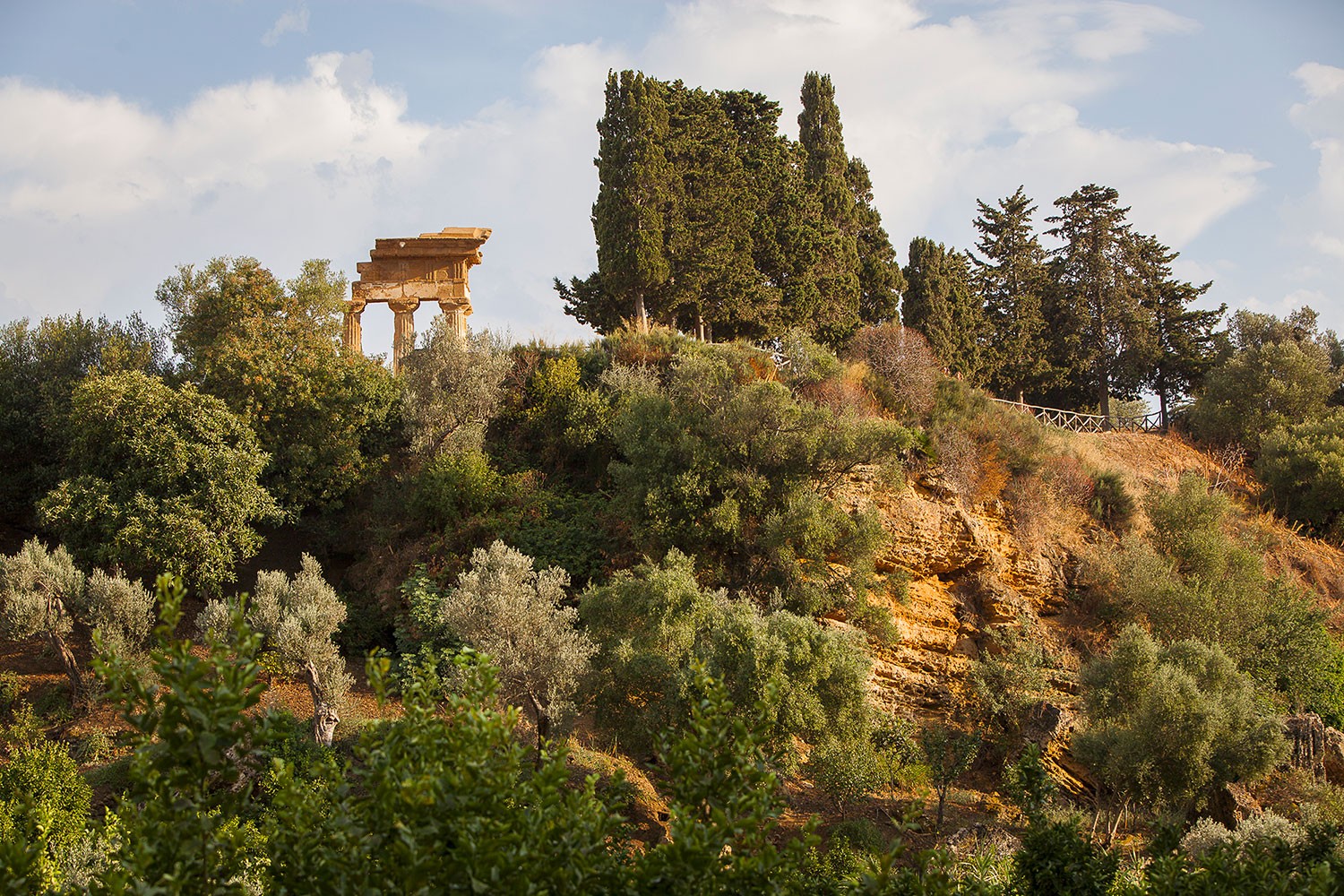 Giardino della Kolymbethra, Valle dei Templi (AG) | Ph. Vincenzo Cammarata © FAI