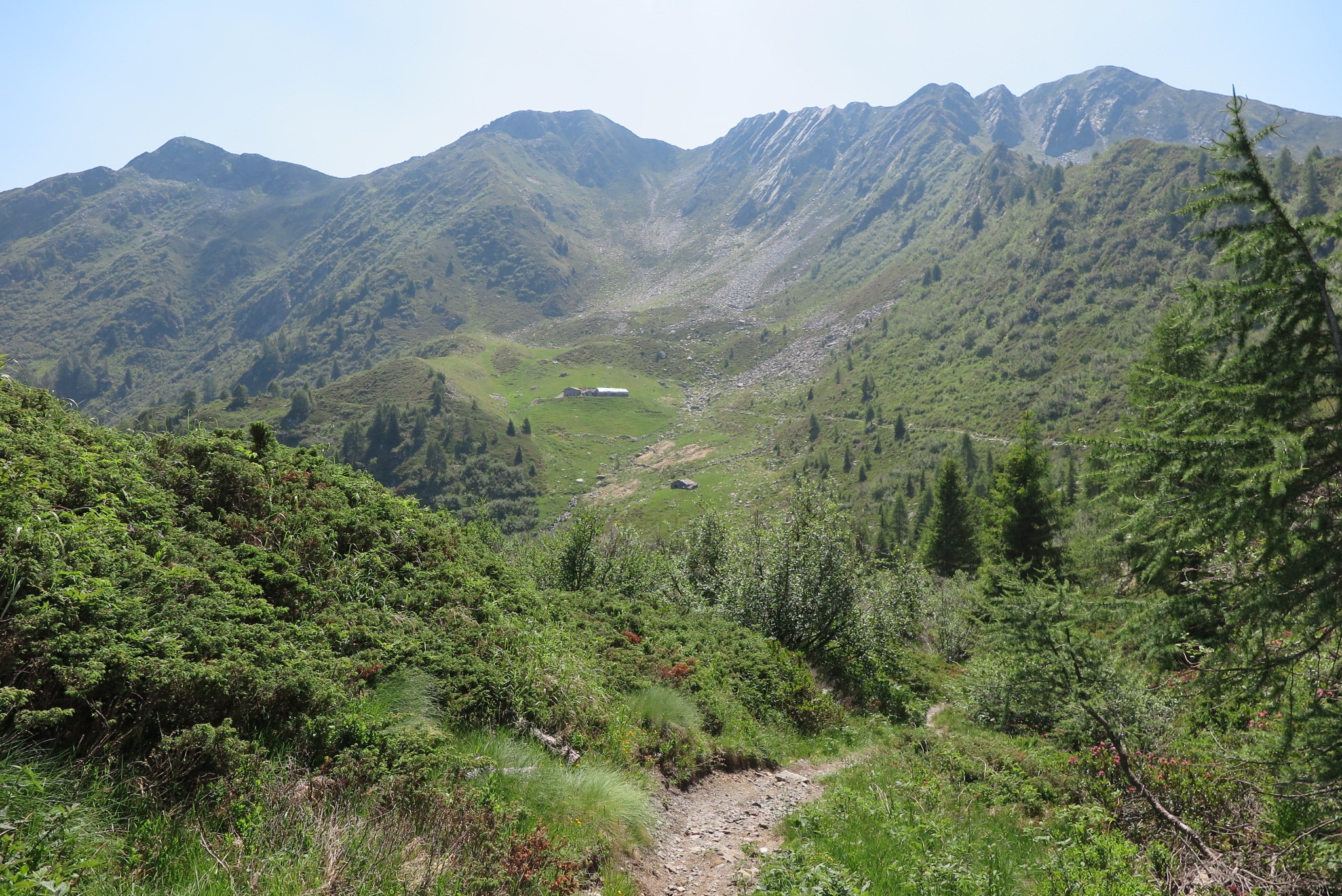Gite scolastiche all'Alpe Pedroria e all'Alpe Madrera