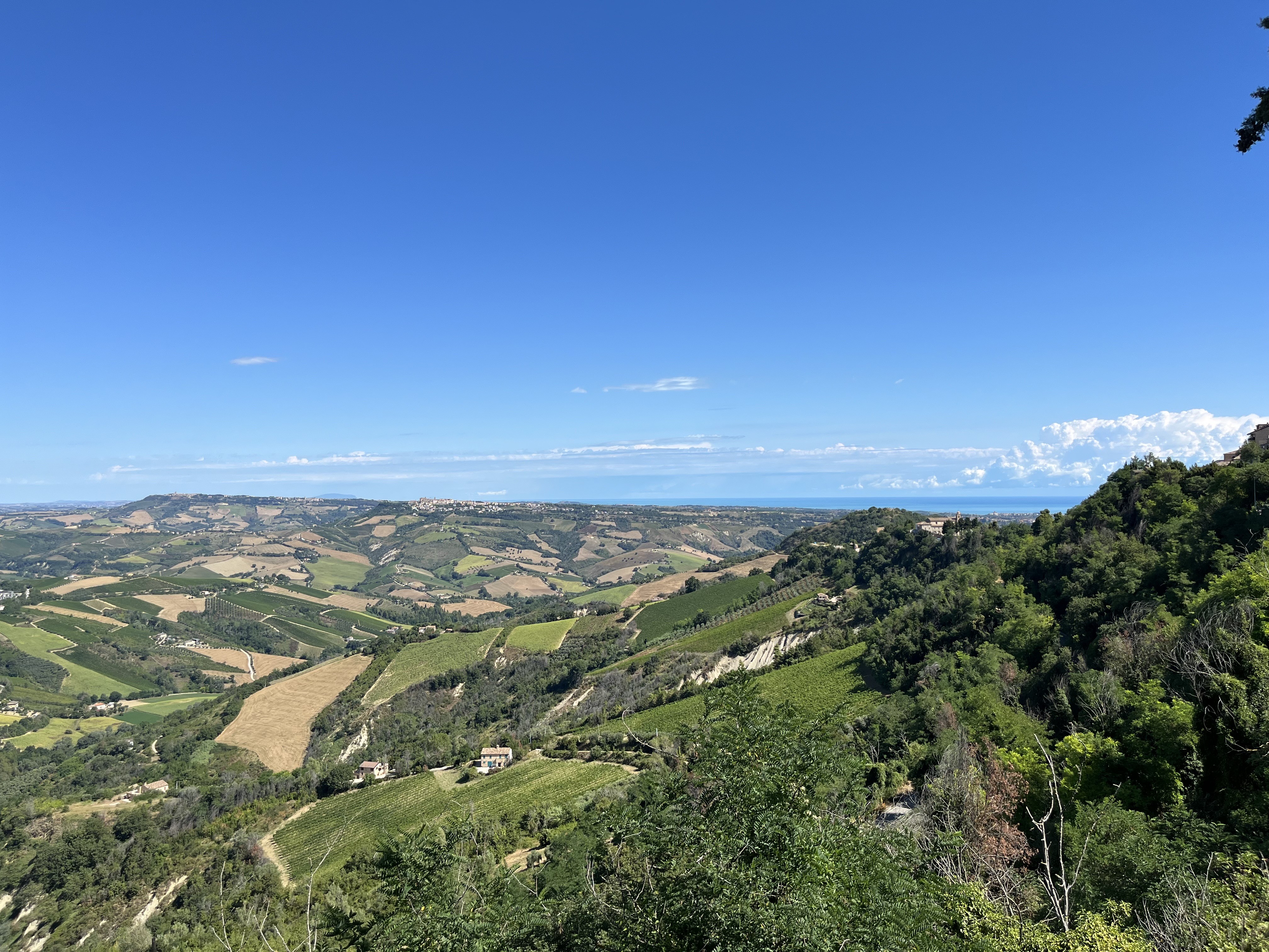PAN: Paesaggio, Arte e Natura