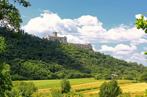 Bosco di San Francesco, Assisi, Perugia
