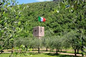 bosco di san francesco, missione