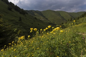 Monte Fontanasecca e Col De Spadarot (BL) | ph. Martina Vanzo | © FAI  monte fontanasecca, missione