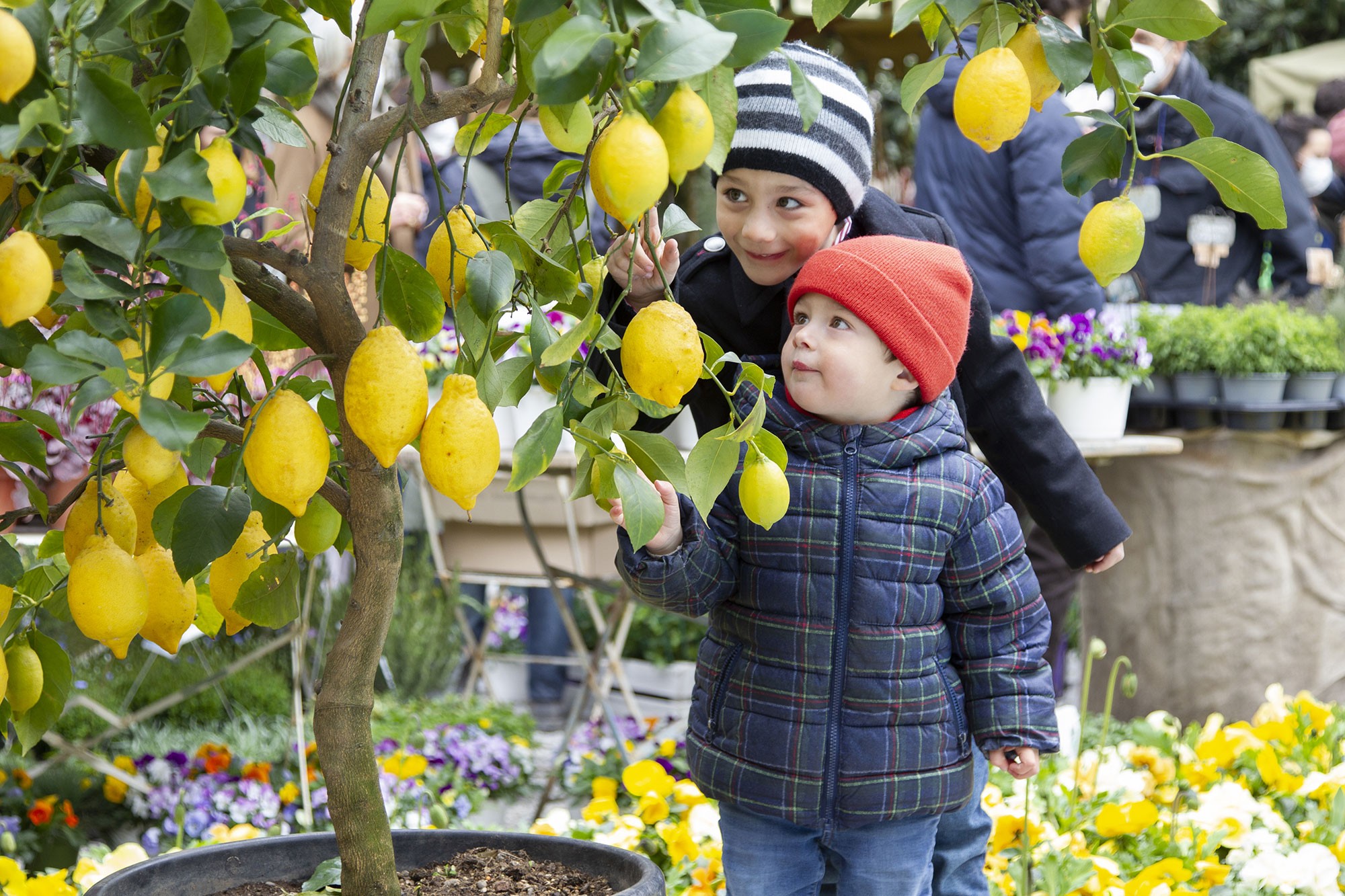 Visitatori a Soffio di Primavera | Ph. Barbara Verduci © FAI