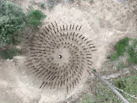 Bosco di Curadureddu