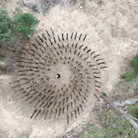 Bosco di Curadureddu