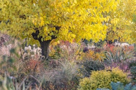 Miretti - Tre Giorni per il Giardino © FAI Miretti - Tre Giorni per il Giardino © FAI