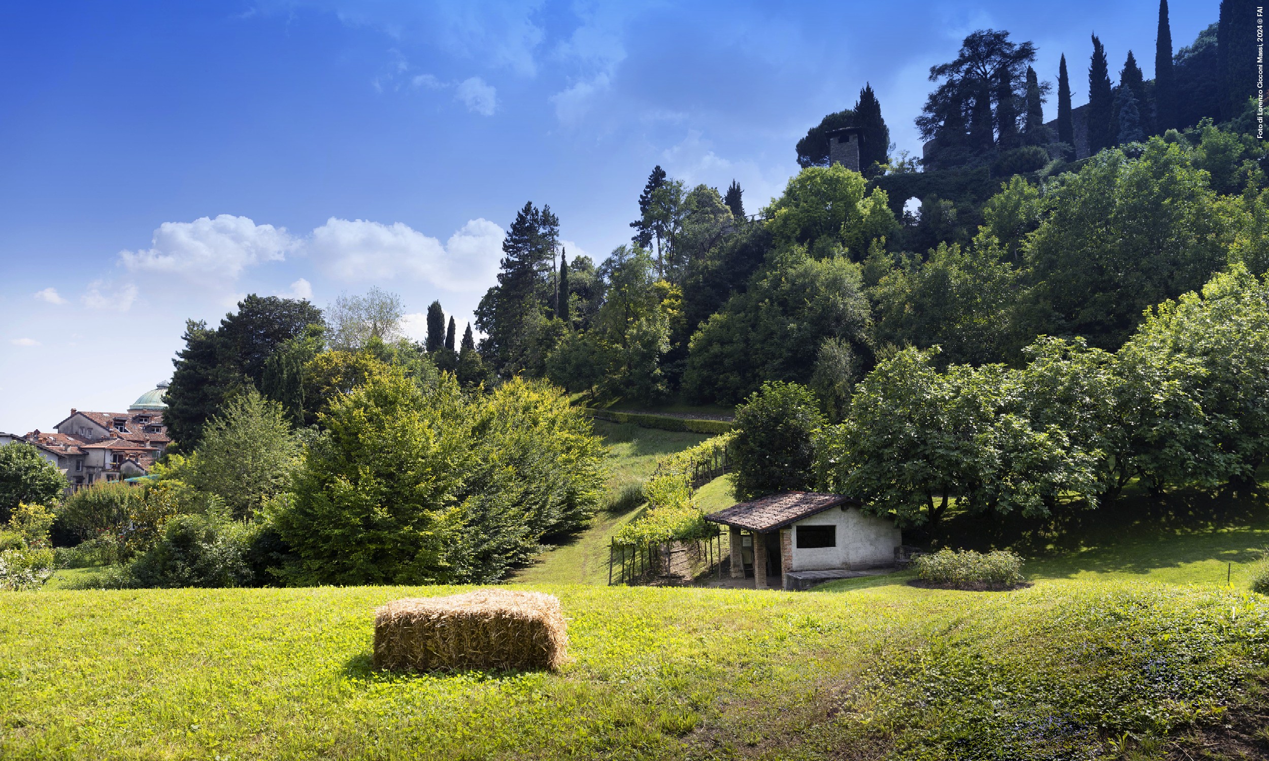 Natura tra le mura