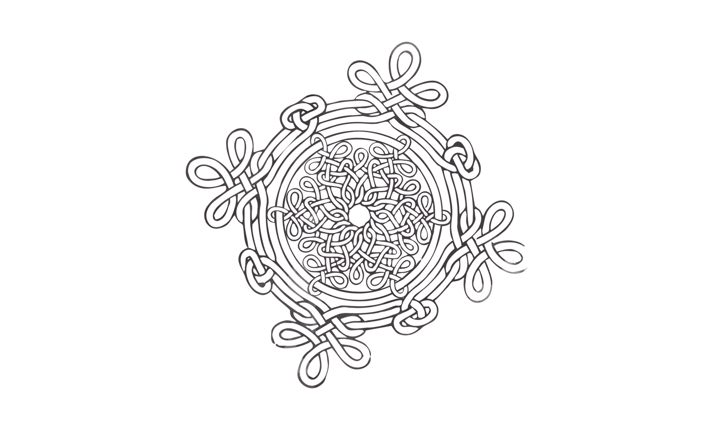 Scopri il genio di Leonardo insieme ai volontari del FAI 