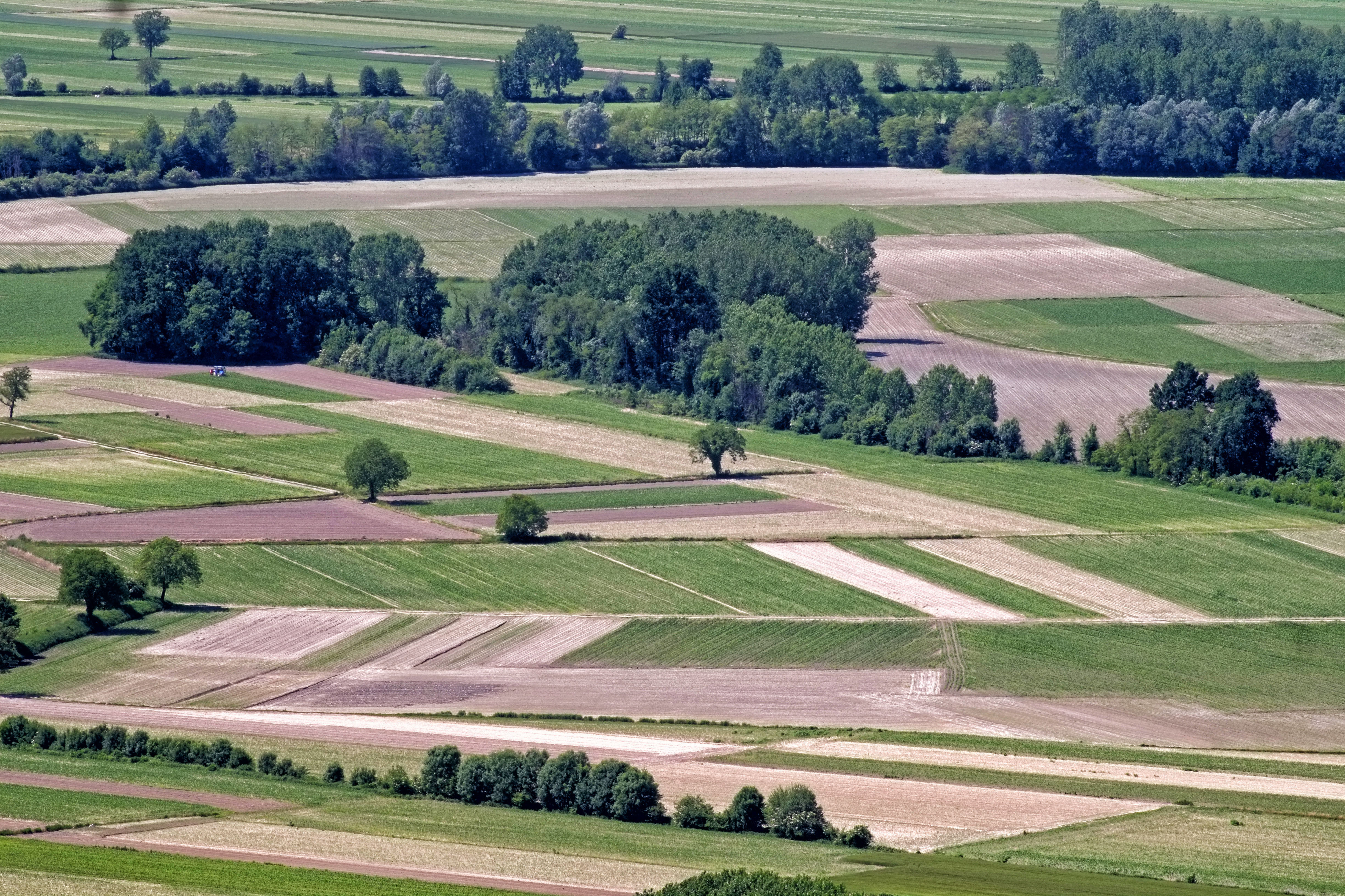 Paesaggio | ph. Paolo Barcucci | © FAI