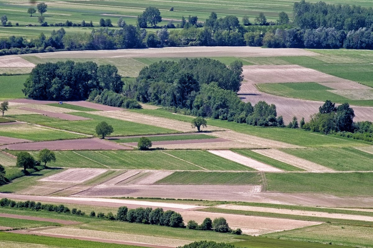 Paesaggio | ph. Paolo Barcucci | © FAI Paesaggio | ph. Paolo Barcucci | © FAI