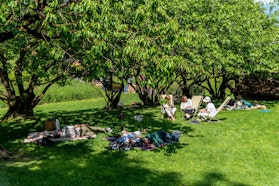 Pausa nell'ortaglia | © FAI