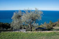 Podere Case Lovara, Bene FAI a Punta Mesco (SP)