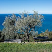 Podere Case Lovara, Bene FAI a Punta Mesco (SP) | Ph. D. Marcesini © FAI Podere Case Lovara, Bene FAI a Punta Mesco (SP)