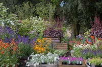 Fiori esposti alla Tre Giorni per il Giardino ph. Dario Fusaro, 2013 © FAI Fiori esposti alla Tre Giorni per il Giardino