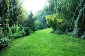 Rifinik - Tre Giorni per il Giardino © FAI - Tre Giorni per il Giardino © FAI