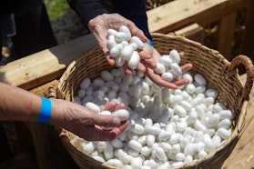 Il lungo viaggio della seta - Laboratori di Seta | Ph. Barbara Verduci, 2024 © FAI