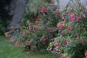 Il giardino delle essenze perdute © FAI Il giardino delle essenze perdute © FAI