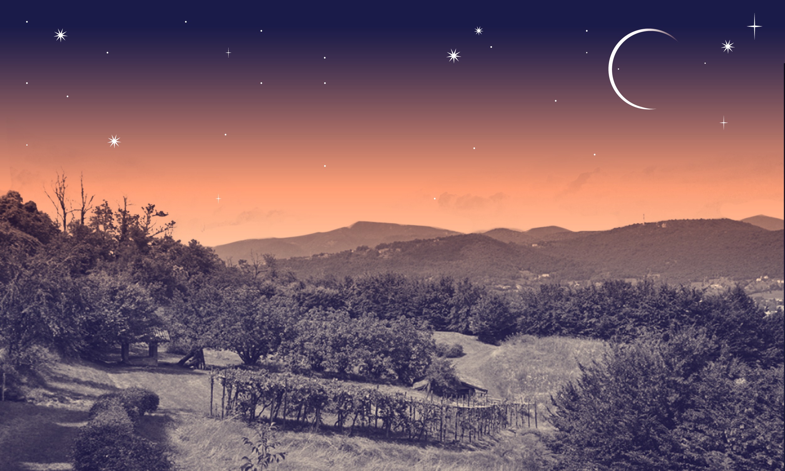 Sere FAI a Palazzo Moroni