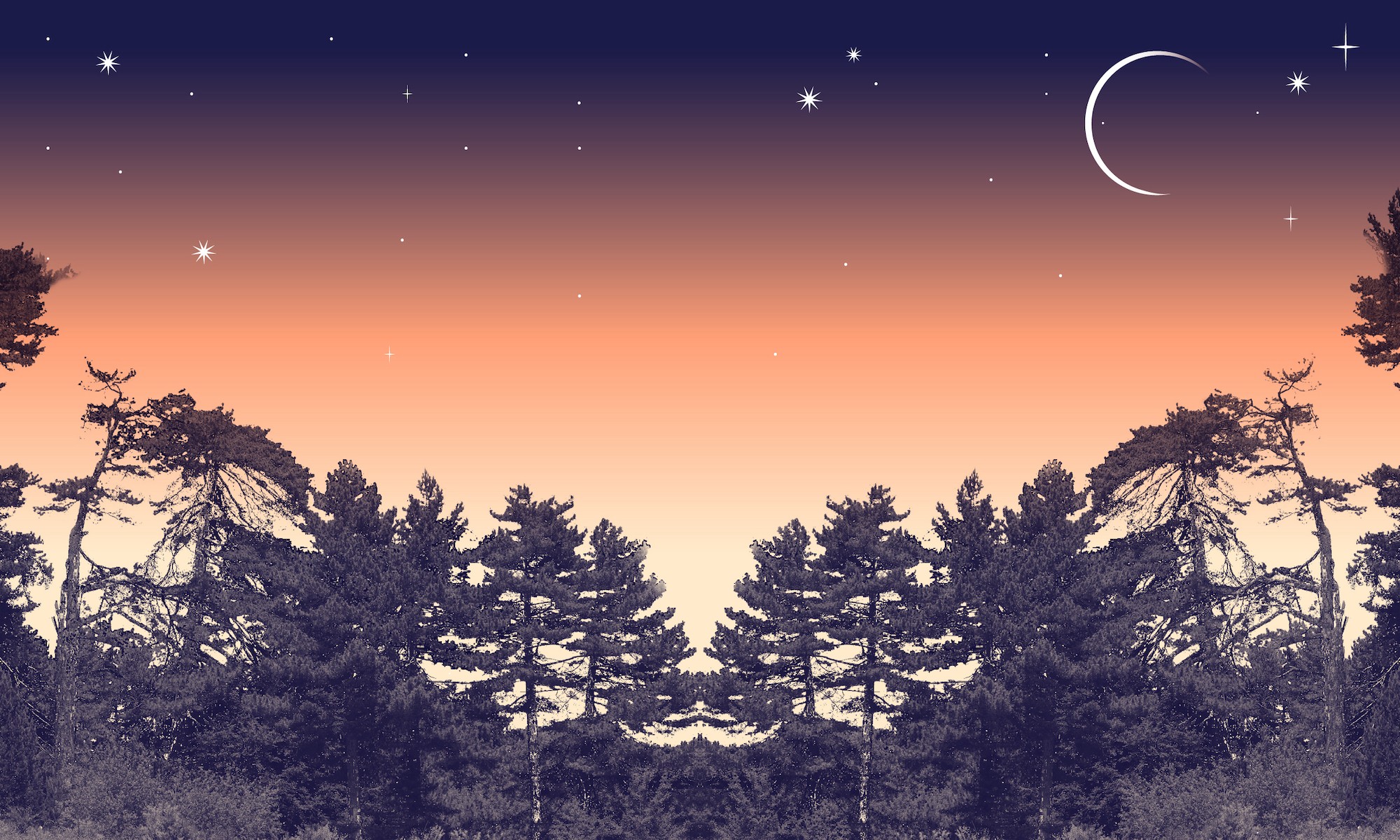 Sere FAI I Giganti della Sila