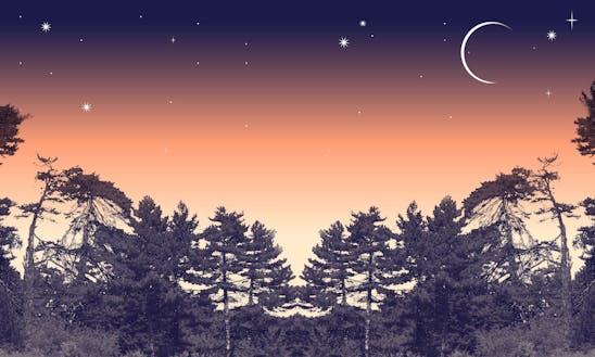 I Giganti della Sila, Sere FAI d'Estate