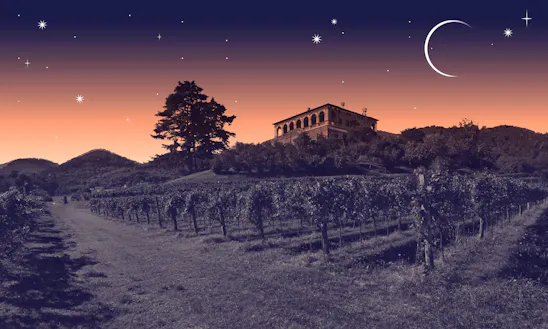 Villa dei Vescovi, Sere FAI d'Estate