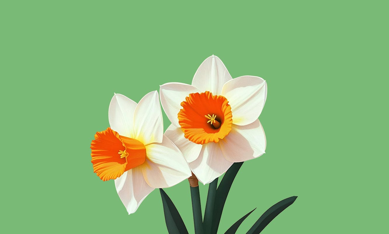 Soffio di primavera Soffio di primavera