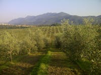 Parco Sorgenti Ferrarelle di Riardo | © Ferrarelle parco sorgenti fertrarelle di riardo, aziende