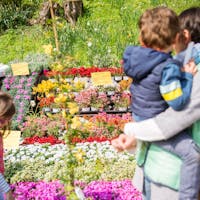 Herbarium a Torba | Foto Gabriele Basilico, 2017 © FAI Una mamma con in braccio un bambino e l'altra figlia davanti a uno degli stand di Herbarium di fiori colorati