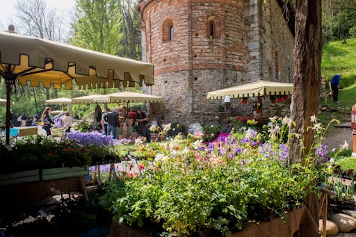 Herbarium al Monastero di Torba