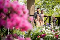Fiori rosa piccolini rosa in primo piano, in sottofondo due espositori di Herbarium con maglietta grigia e grembiuli beige