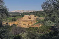 gioia