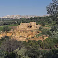 gioia