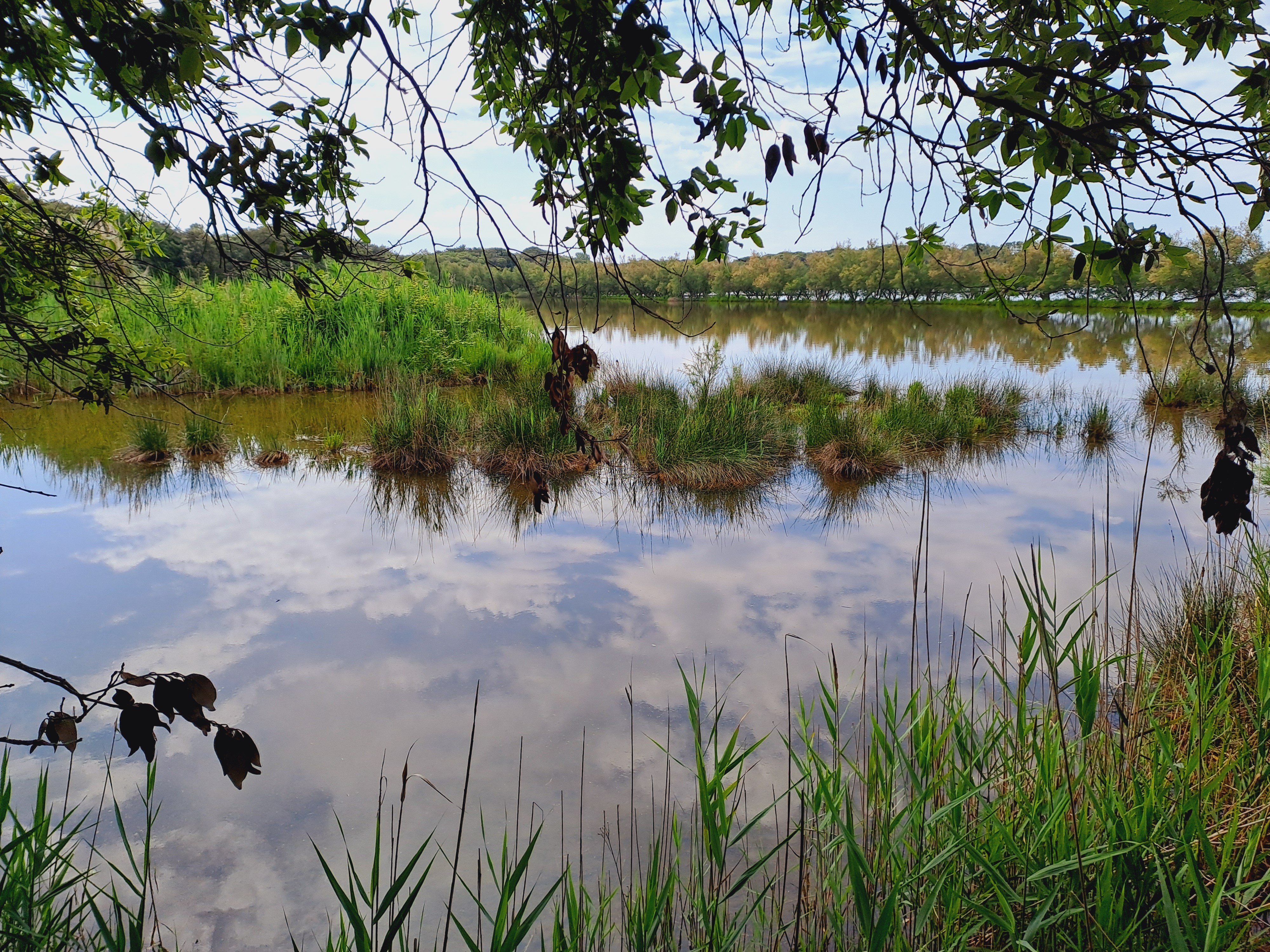 Oasi Naturalistica Valgrande, Portogruaro © Archivio FAI