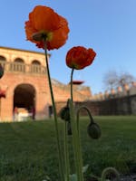 Herbarium a Vescovi | Foto Chiara Poli, 2026 © FAI