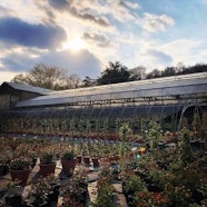 Vivai Pozzo Vivai Pozzo