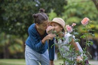 Tre giorni per il giardino - primavera