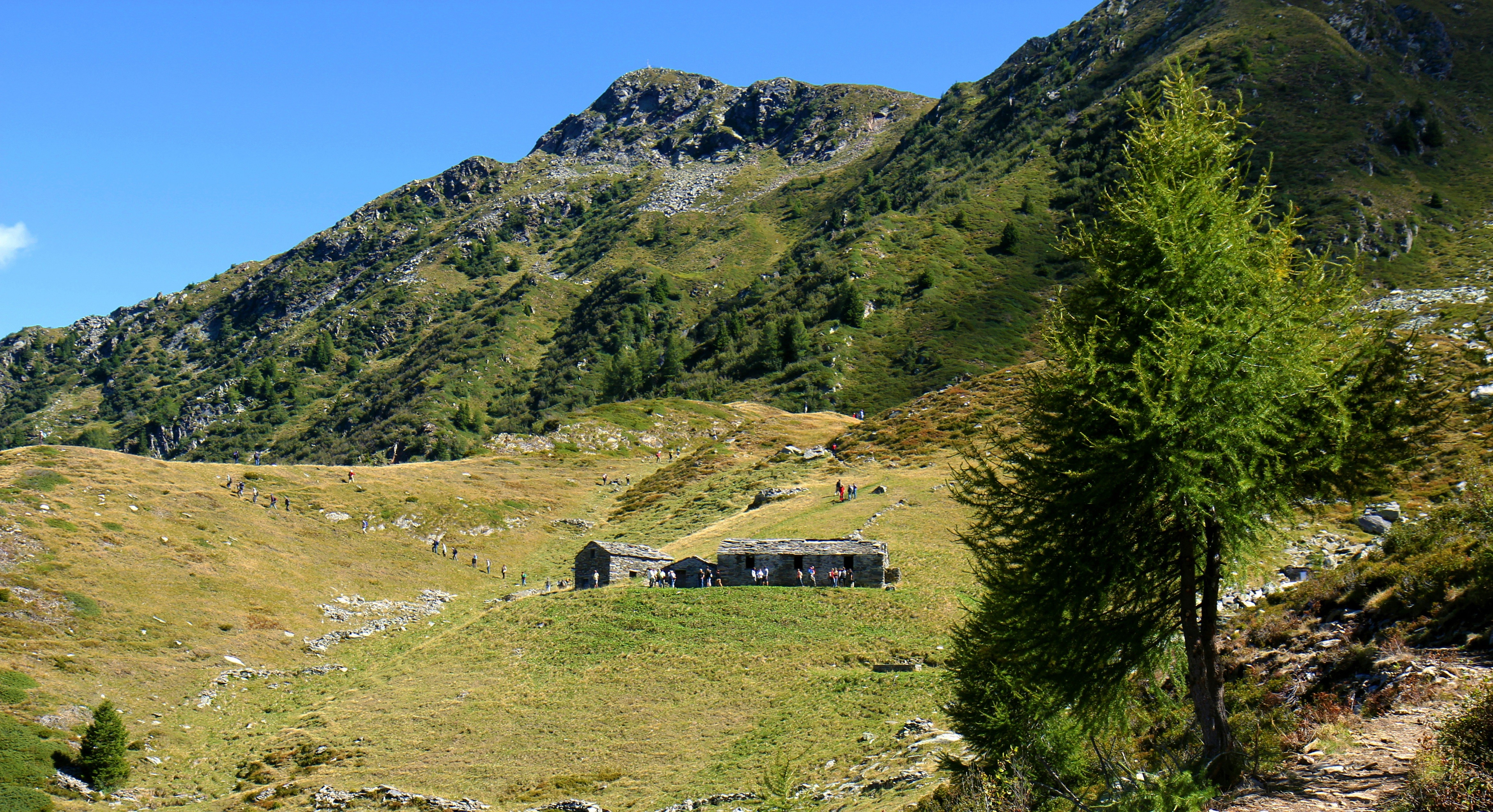 Alpe Pedroria e Alpe Madrera