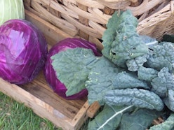 Crivello - Tre Giorni per il Giardino FAI