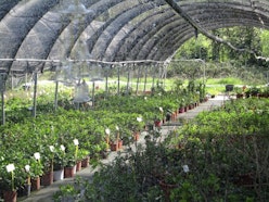 Borgioli Taddei - Tre Giorni per il Giardino © FAI Borgioli Taddei - Tre Giorni per il Giardino © FAI