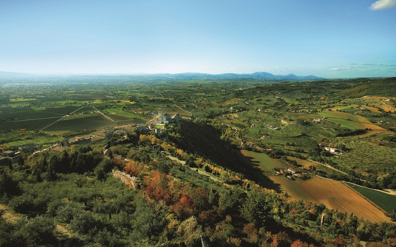 Grazie a chi sostiene il Bosco di San Francesco - FAI