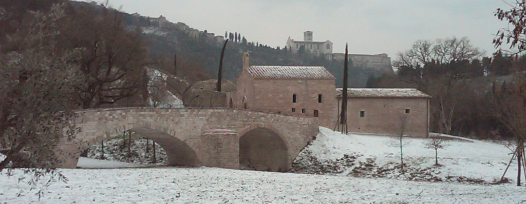 Bosco di San Francesco, Assisi (PG). Foto archivio © FAI