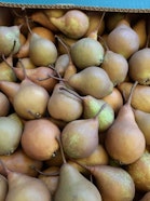 I Ciapé Cit di Pacchiodo Tiziana Az. Agr. I Ciapé Cit di Pacchiodo Tiziana Az. Agr.